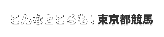 こんなところにも東京都競馬