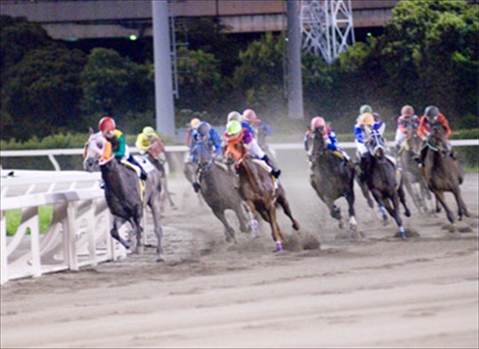 競馬施設賃貸