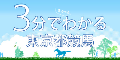 3分でまるっとわかる東京都競馬