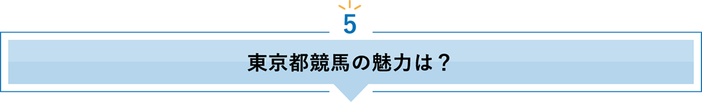 5 東京都競馬の魅力は？