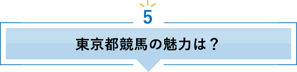 5 東京都競馬の魅力は？